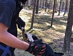 Летний лагерь 2018 - Фотоотчёт