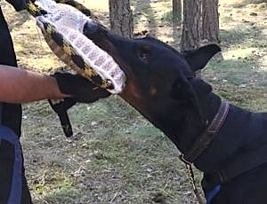 Летний лагерь 2018 - Фотоотчёт