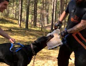 Летний лагерь 2018 - Фотоотчёт