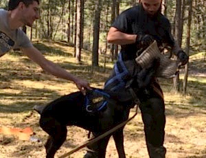 Летний лагерь 2018 - Фотоотчёт