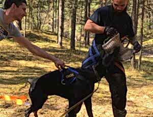 Летний лагерь 2018 - Фотоотчёт