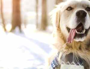 Зимний лагерь 2019