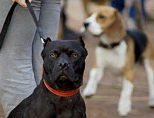 ЛЕТНИЙ ЛАГЕРЬ 2018