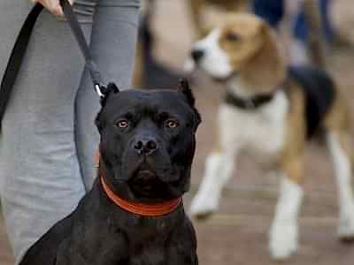 ЛЕТНИЙ ЛАГЕРЬ 2018