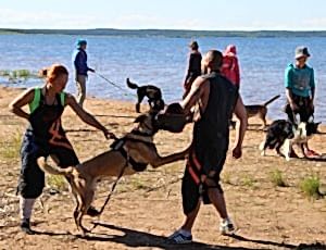 ЛЕТНИЙ ЛАГЕРЬ 2018