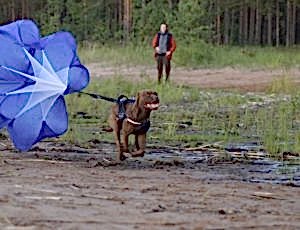 ЛЕТНИЙ ЛАГЕРЬ 2018