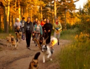 ЛЕТНИЙ ЛАГЕРЬ 2018