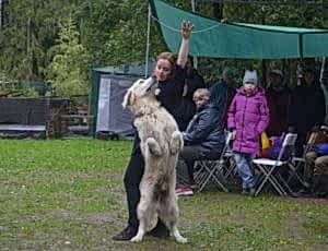 Продуктивно съездили на фестиваль «Верность» от одноименного фонда помощи бездомным животным!