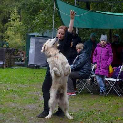 Продуктивно съездили на фестиваль «Верность» от одноименного фонда помощи бездомным животным!