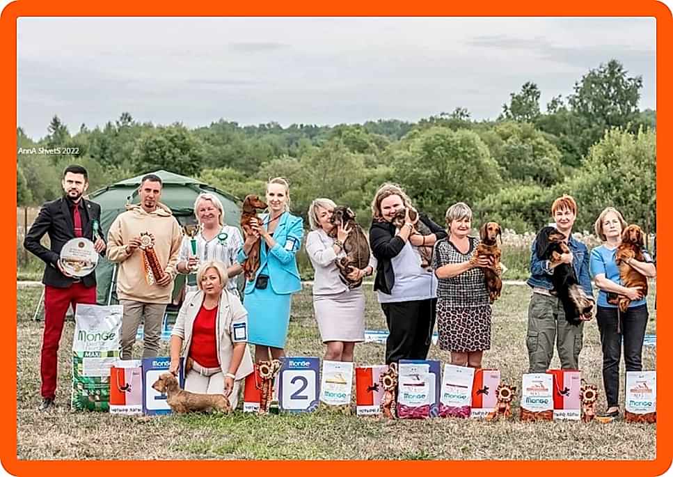 Приглашаем на курсы хендлеров